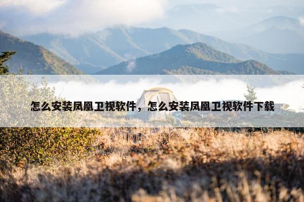 怎么安装凤凰卫视软件，怎么安装凤凰卫视软件下载