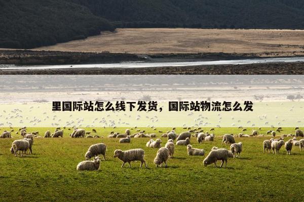里国际站怎么线下发货，国际站物流怎么发