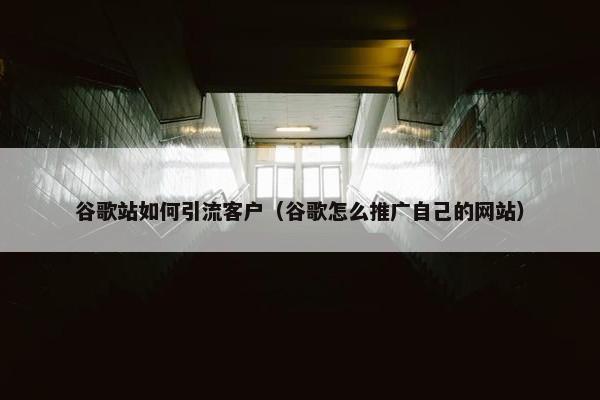 谷歌站如何引流客户（谷歌怎么推广自己的网站）