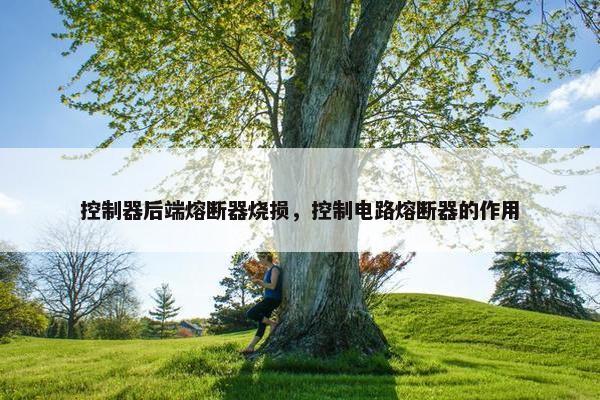 控制器后端熔断器烧损，控制电路熔断器的作用