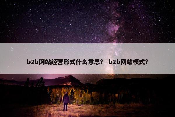 b2b网站经营形式什么意思？ b2b网站模式？