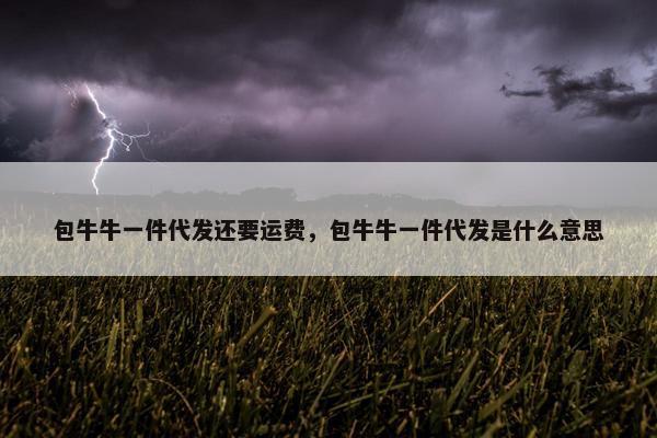 包牛牛一件代发还要运费，包牛牛一件代发是什么意思