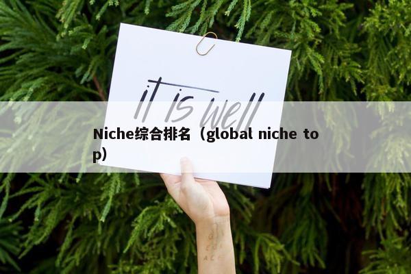 Niche综合排名（global niche top）