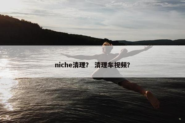 niche清理？ 清理车视频？