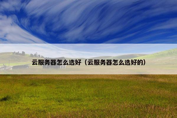 云服务器怎么选好（云服务器怎么选好的）