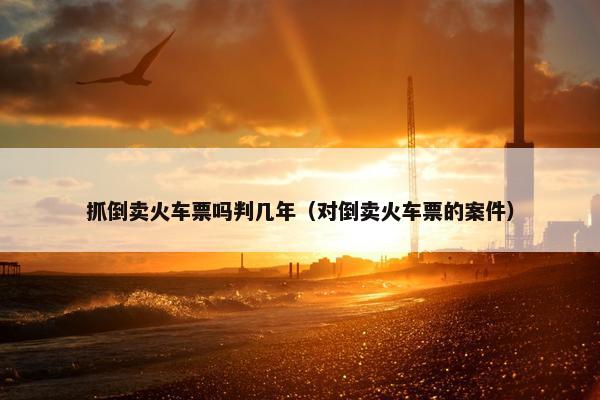 抓倒卖火车票吗判几年（对倒卖火车票的案件）