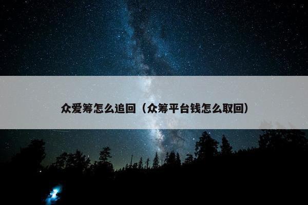 众爱筹怎么追回（众筹平台钱怎么取回）