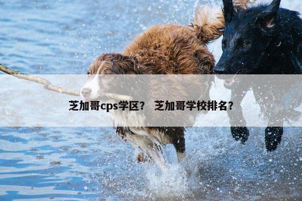 芝加哥cps学区？ 芝加哥学校排名？