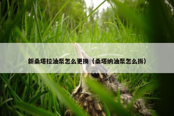 新桑塔拉油泵怎么更换（桑塔纳油泵怎么拆）