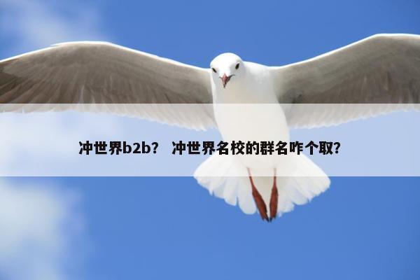 冲世界b2b？ 冲世界名校的群名咋个取？