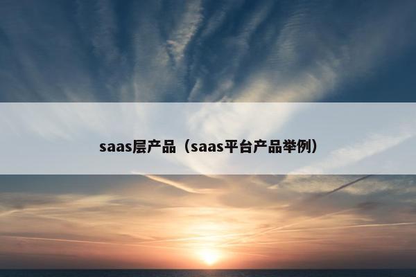 saas层产品（saas平台产品举例）