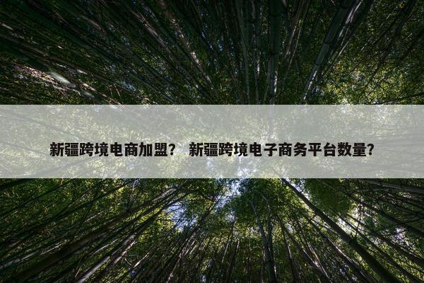 新疆跨境电商加盟？ 新疆跨境电子商务平台数量？
