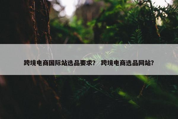 跨境电商国际站选品要求？ 跨境电商选品网站？