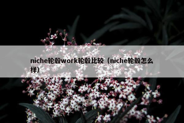 niche轮毂work轮毂比较（niche轮毂怎么样）