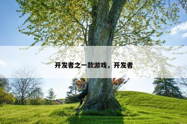 开发者之一款游戏，开发者