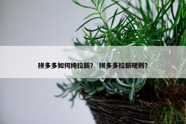 拼多多如何纯拉新？ 拼多多拉新规则？