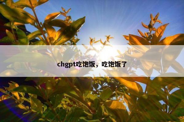 chgpt吃饱饭，吃饱饭了