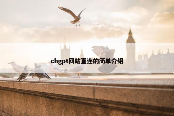 chgpt网站直连的简单介绍