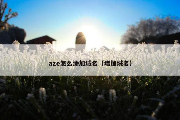 aze怎么添加域名（增加域名）
