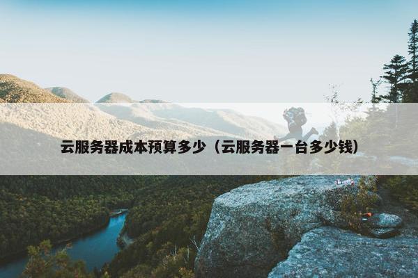 云服务器成本预算多少（云服务器一台多少钱）