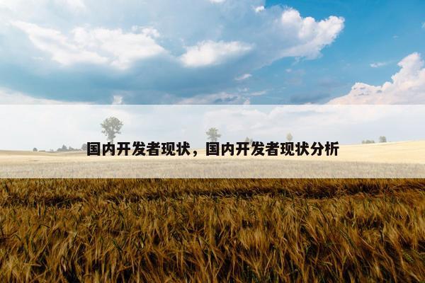 国内开发者现状，国内开发者现状分析