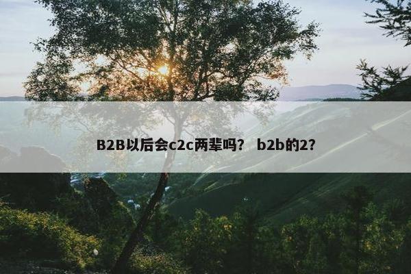 B2B以后会c2c两辈吗？ b2b的2？