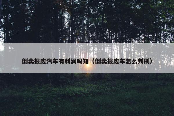 倒卖报废汽车有利润吗知（倒卖报废车怎么判刑）