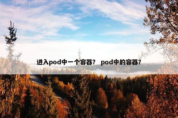 进入pod中一个容器？ pod中的容器？