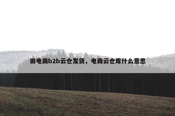 田电商b2b云仓发货，电商云仓库什么意思