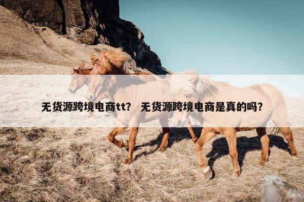 无货源跨境电商tt？ 无货源跨境电商是真的吗？