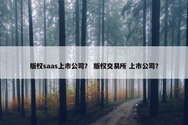 版权saas上市公司？ 版权交易所 上市公司？
