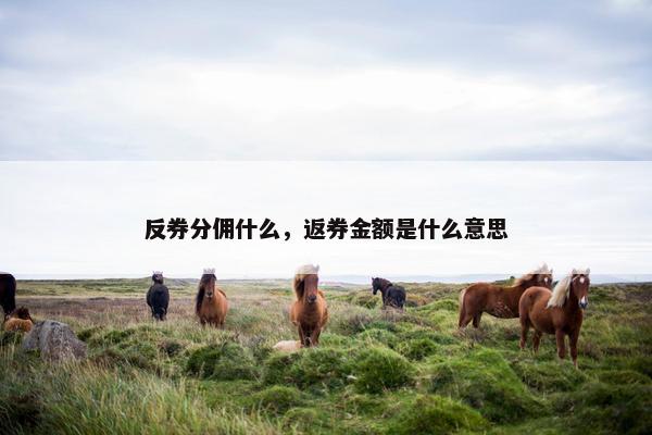 反券分佣什么，返券金额是什么意思