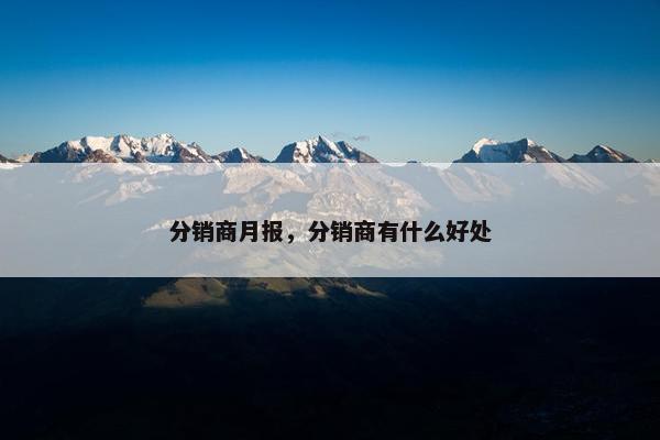 分销商月报，分销商有什么好处