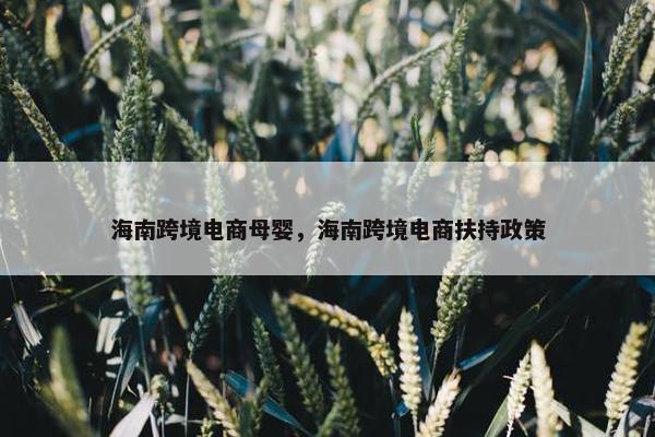 海南跨境电商母婴，海南跨境电商扶持政策