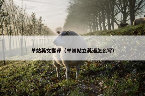 单站英文翻译（单脚站立英语怎么写）