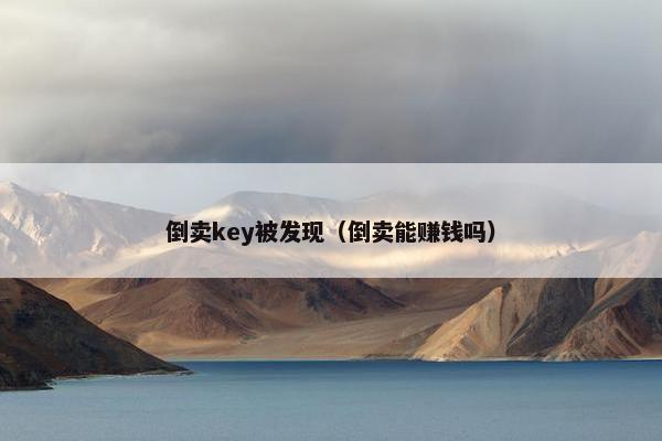 倒卖key被发现（倒卖能赚钱吗）