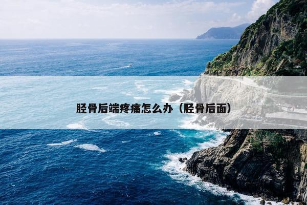 胫骨后端疼痛怎么办（胫骨后面）