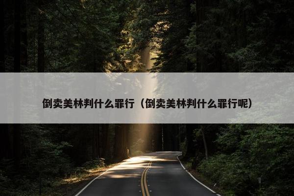 倒卖美林判什么罪行（倒卖美林判什么罪行呢）