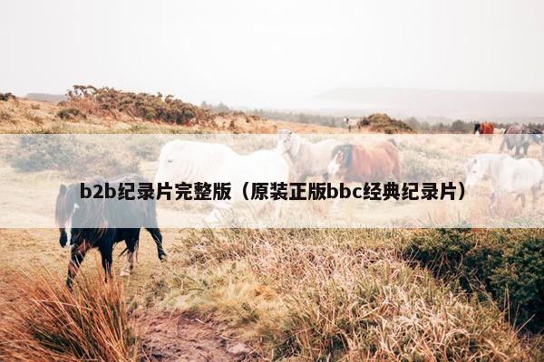 b2b纪录片完整版（原装正版bbc经典纪录片）
