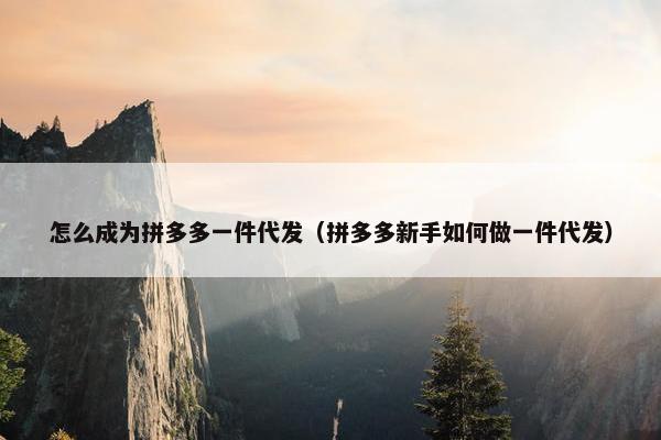 怎么成为拼多多一件代发（拼多多新手如何做一件代发）