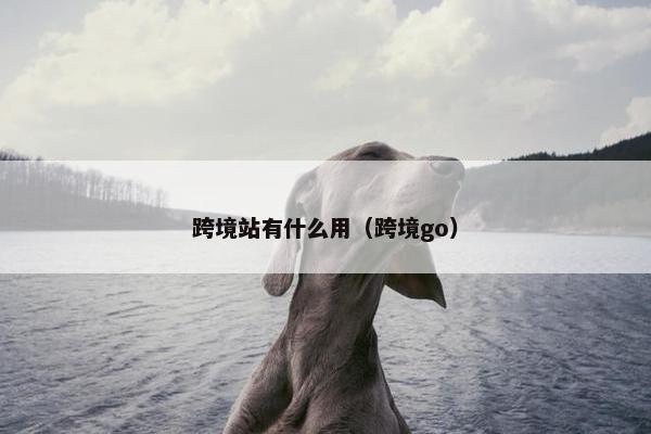 跨境站有什么用（跨境go）