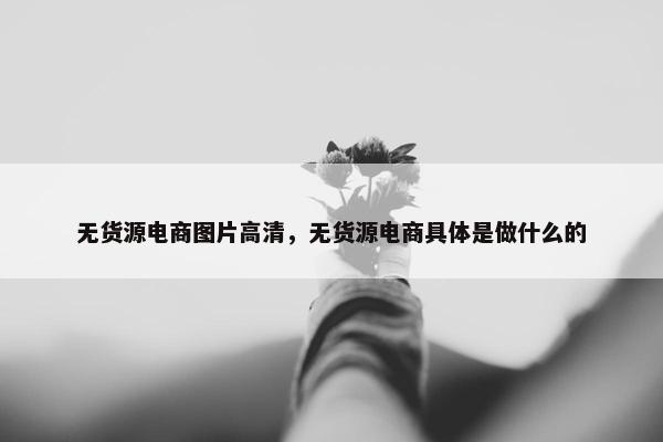 无货源电商图片高清，无货源电商具体是做什么的
