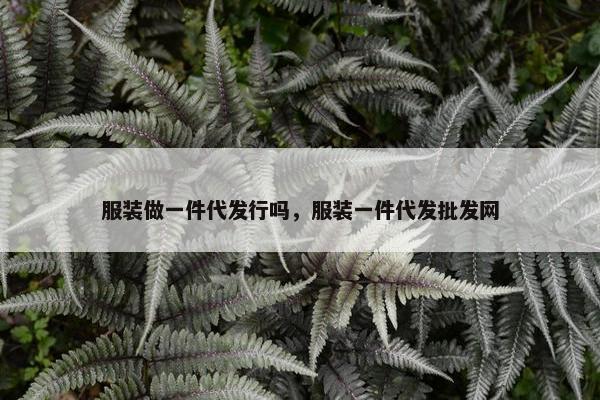 服装做一件代发行吗，服装一件代发批发网