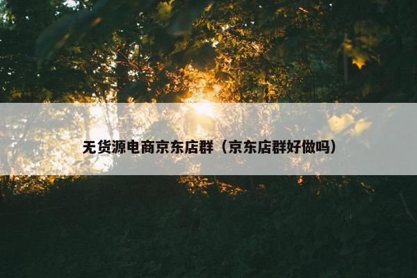 无货源电商京东店群（京东店群好做吗）
