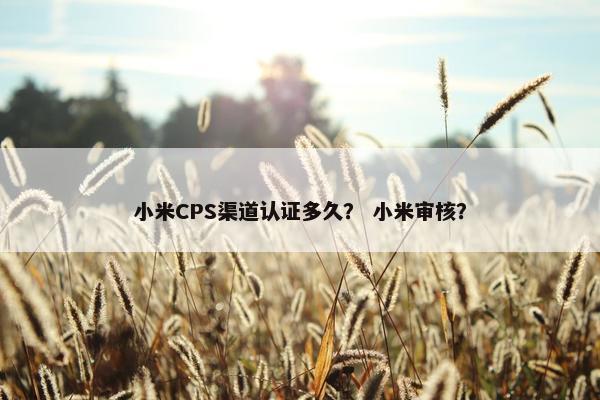小米CPS渠道认证多久？ 小米审核？