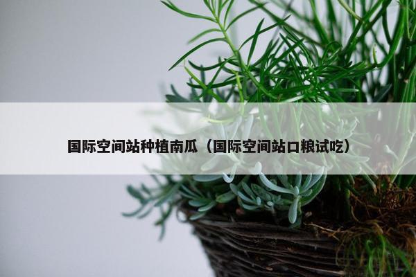 国际空间站种植南瓜（国际空间站口粮试吃）