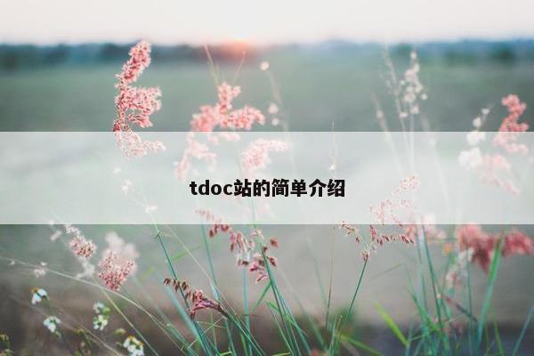 tdoc站的简单介绍