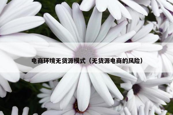 电商环境无货源模式（无货源电商的风险）