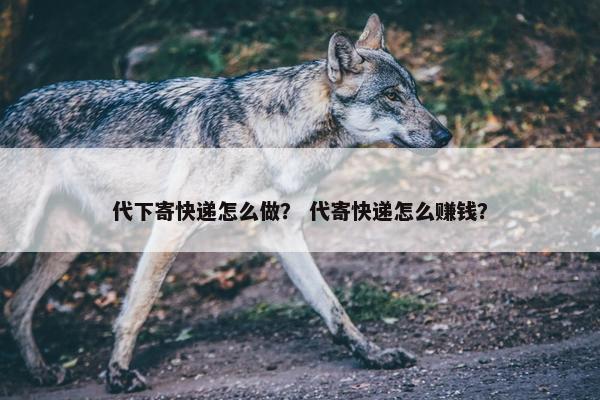 代下寄快递怎么做？ 代寄快递怎么赚钱？