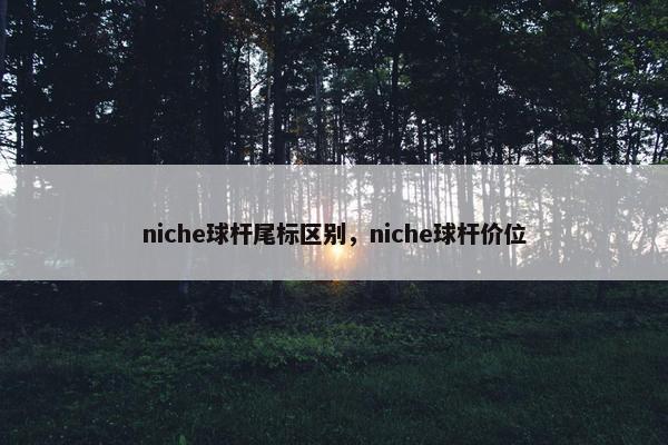 niche球杆尾标区别，niche球杆价位